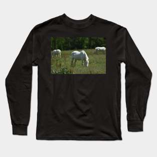 Wild Horse Long Sleeve T-Shirt